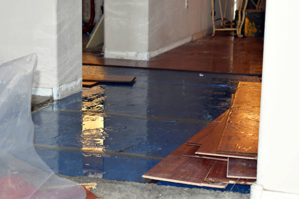 Professional Water Damage Restoration technician working in Linn Creek, MO